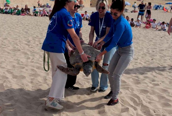 Benidorm Schoolkids Witness Rescued Loggerhead Turtle Returned To Costa Blanca Waters In Spain