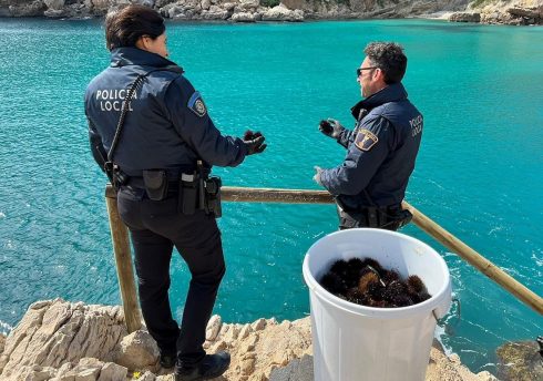 Police Release 325 Sea Urchins Caught By Poachers On Spain's Costa Blanca