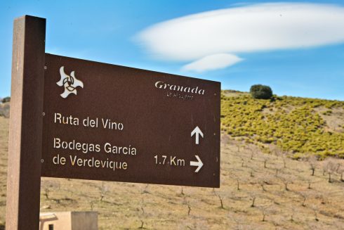 Ruta Del Vino