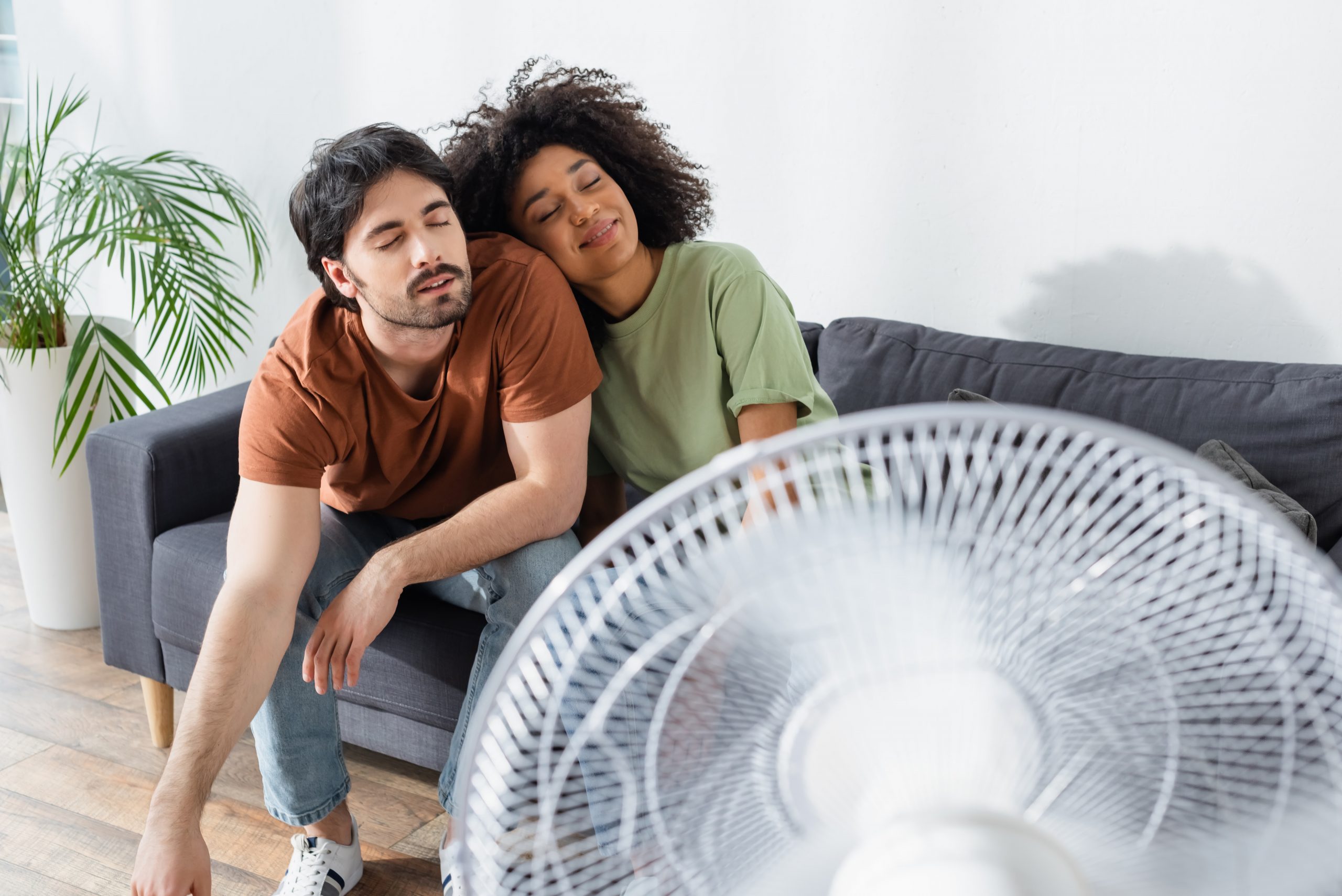 Pleased Interracial Couple Sitting On Couch Near Blurred Electri