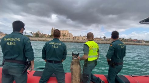Guardia Civil Dog Baleares Photo By Guardia Civil.jpg 2