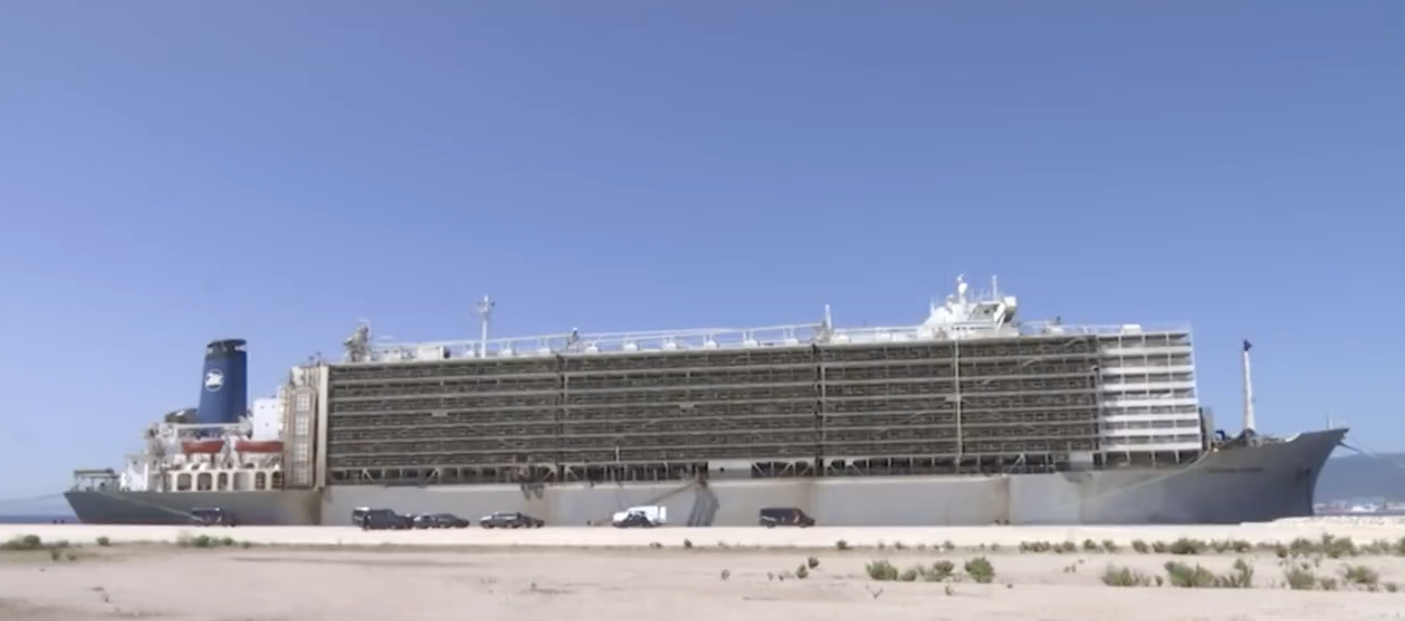 Cargo ship searched by drug police in Cadiz