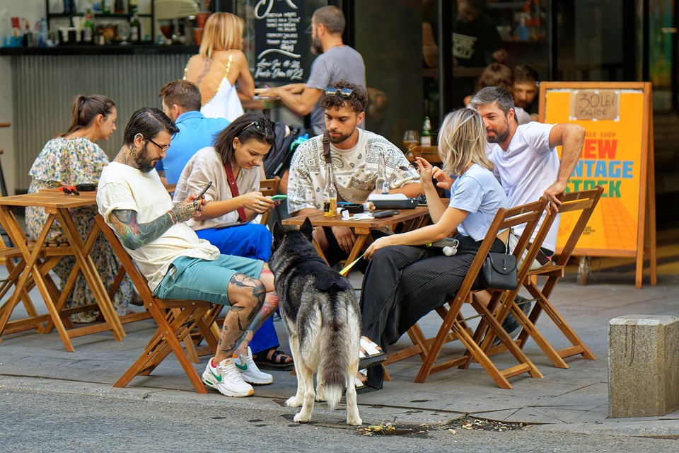 Dog Bar