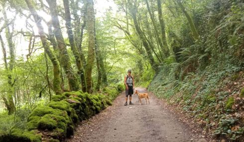 Walking The Camino 4