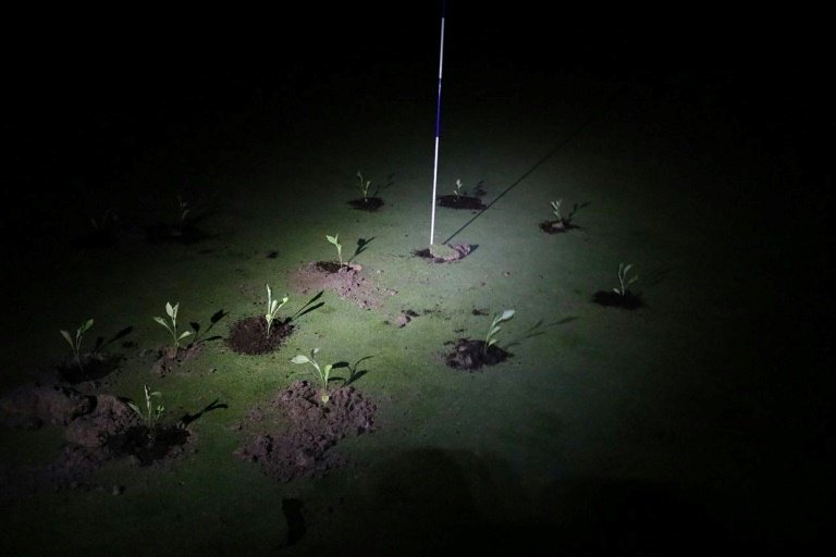 Extinction Rebellion Fills In Golf Course Holes In Spain In Excessive Water Usage Protest