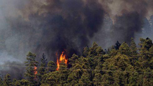 Battle continues to extinguish blaze on Spain's Tenerife with Canary Islands president saying its the 'worst in 40 years'