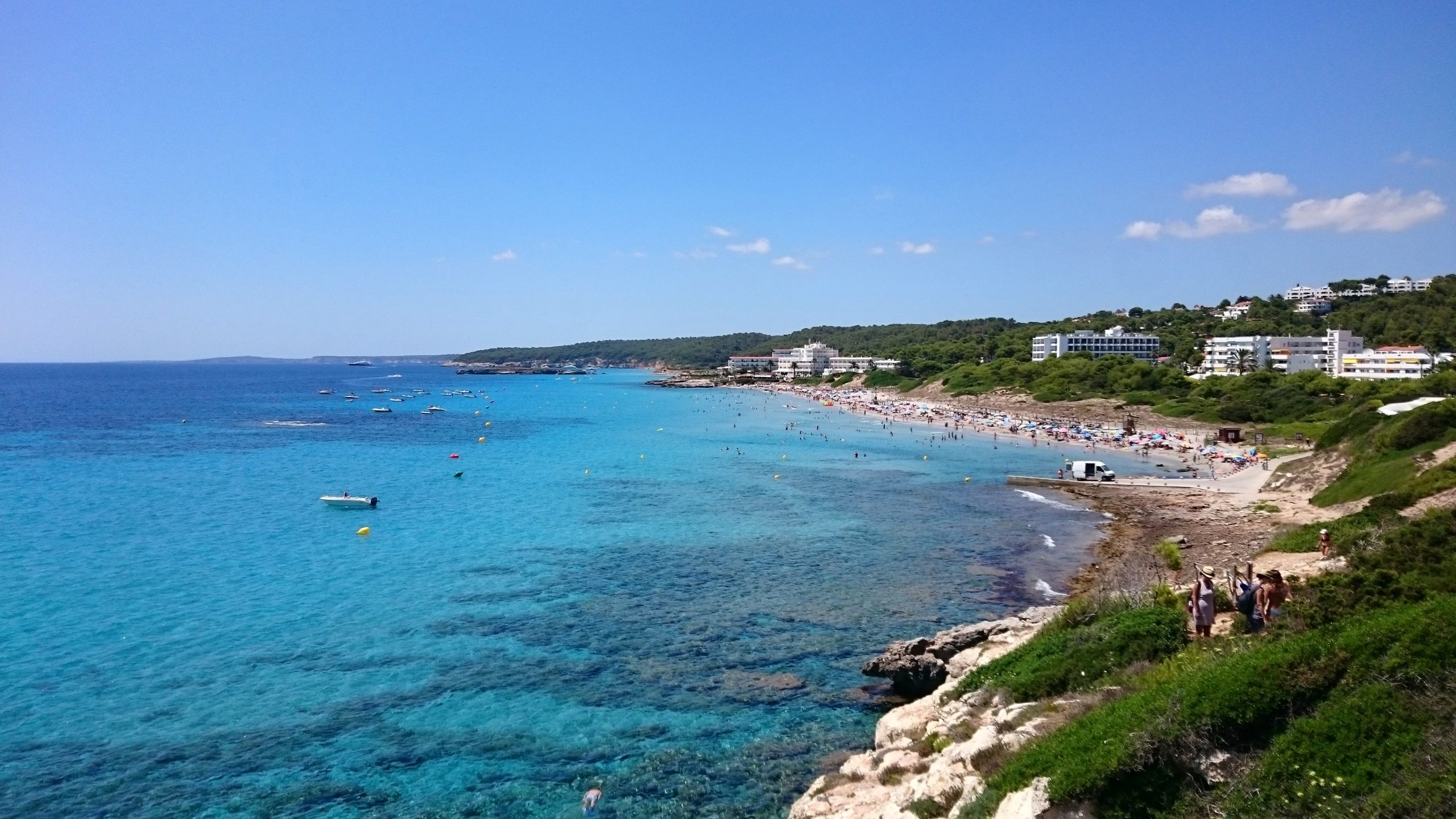 Climate change causing increased fish biting attacks on swimmers in Spain's Mallorca