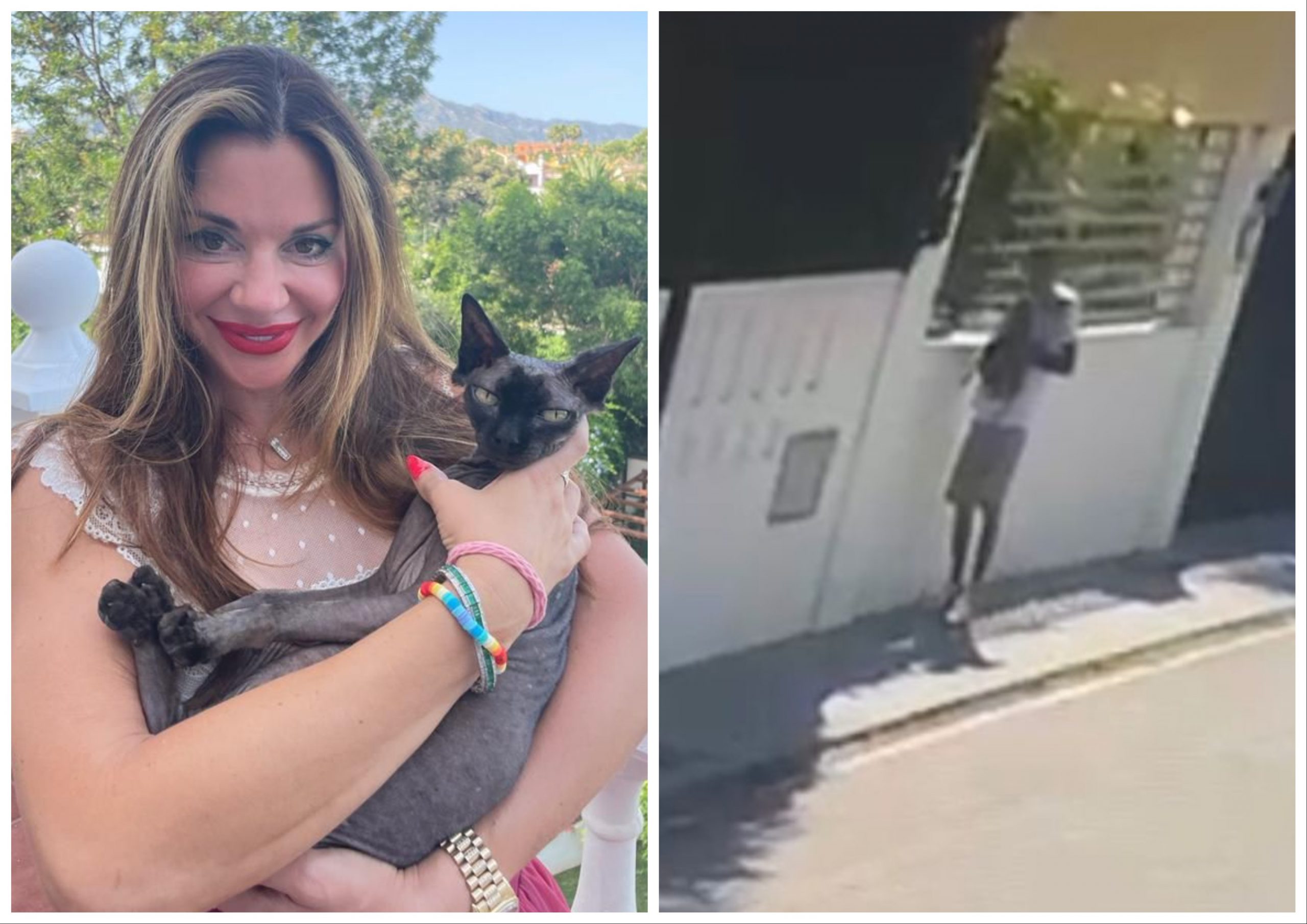 EXC: Chilling moment ‘famous' cat ‘is STOLEN from her doorstep by thug' in Marbella as devastated British owner offers €3,000 reward for her safe return