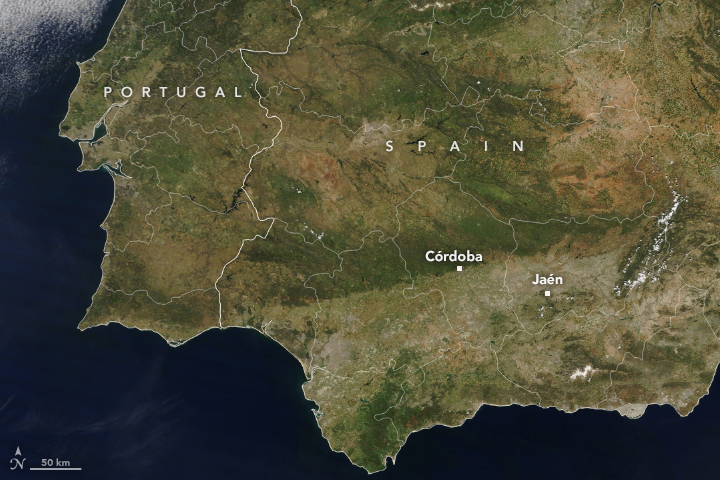 satellite image spain