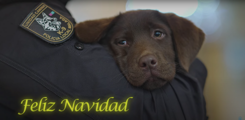 Malaga's new police dog