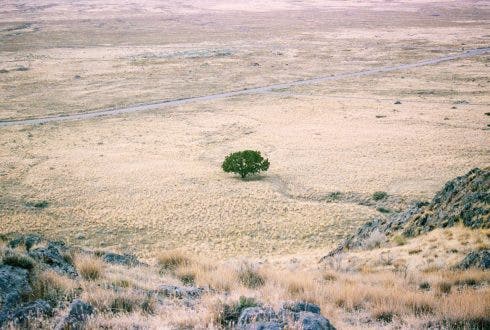 Drought fears grow as dry spell continues in Spain’s Malaga