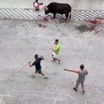 Horrific treatment of bull during a fiesta in Spain after its horn is ripped off and blood gushes out into public street