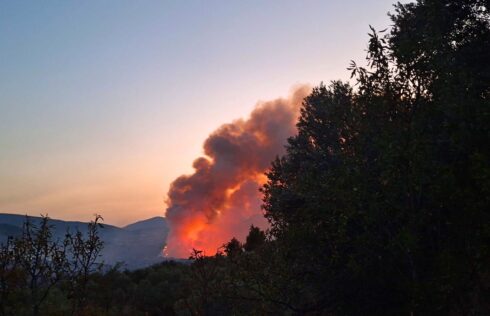 'Severe' wildfire in Alicante sparks evacuation of residents amid crippling heatwave