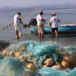 Spain's Mar Menor re-introduces jellyfish nets amid a surge in numbers