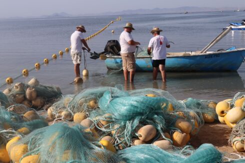 Spain's Mar Menor re-introduces jellyfish nets amid a surge in numbers