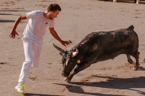 Simulated bull runs with parents pushing carts to chase children ignites opposition to controversial sport in Spain