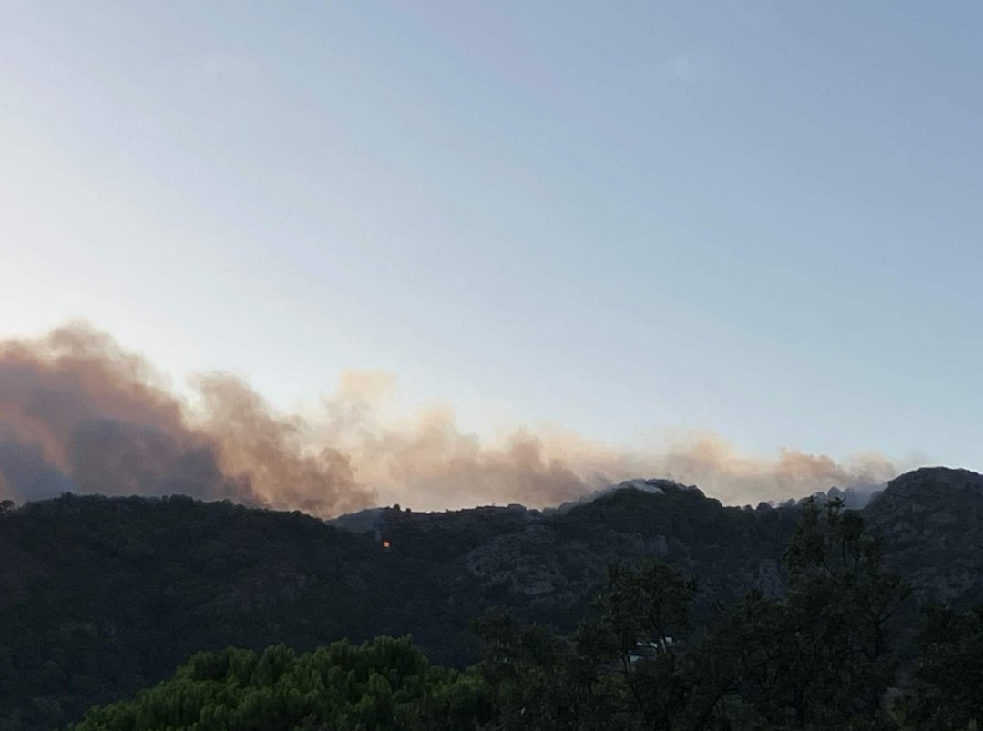 Un incendio forestal continúa arrasando la Costa del Sol en España: los bomberos de Casares trabajarán toda la noche en un terreno “difícil”