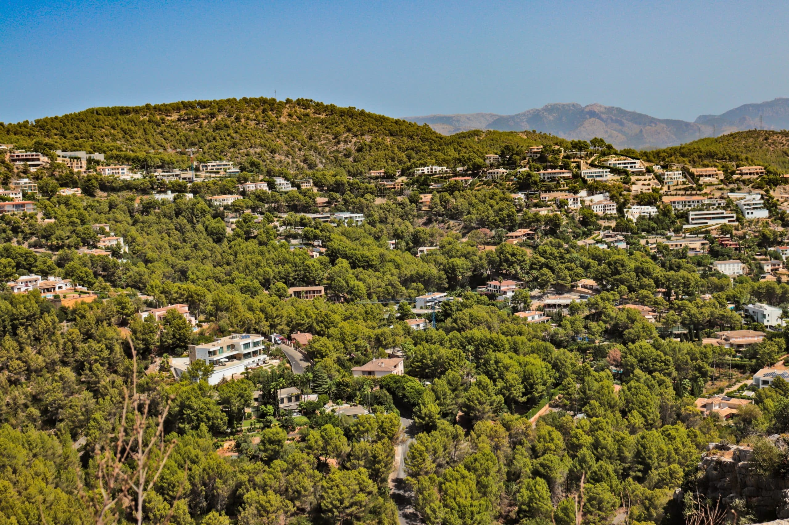 Gardener, 20, drops dead while working on grounds of luxury villa in Spain's Mallorca