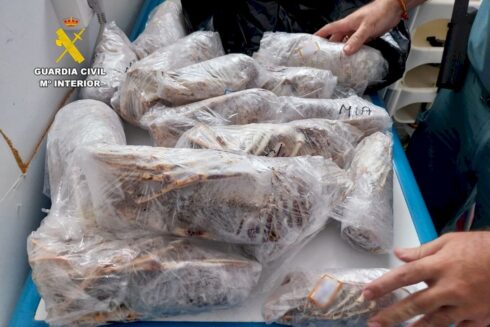 Police discover black market octopus and other seafood being sold at restaurant on Spain’s Costa Blanca