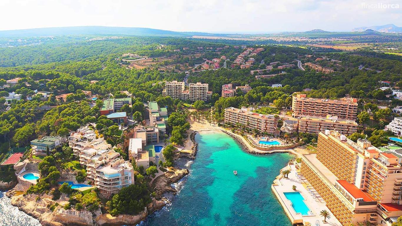 Drunk British tourist suffers serious injuries after falling off a wall and rolling down an embankment for 15 metres in Mallorca