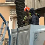 Homeless man in Spain narrowly escapes being crushed to death after falling into a recycling container - after woman in Mallorca suffered agonising fate