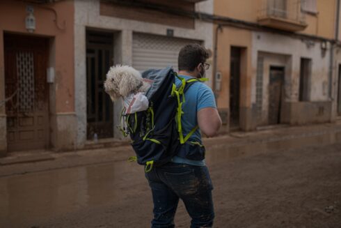 How volunteer vets and animal experts in flood-hit Valencia are helping to treat pets and reunite them with their owners