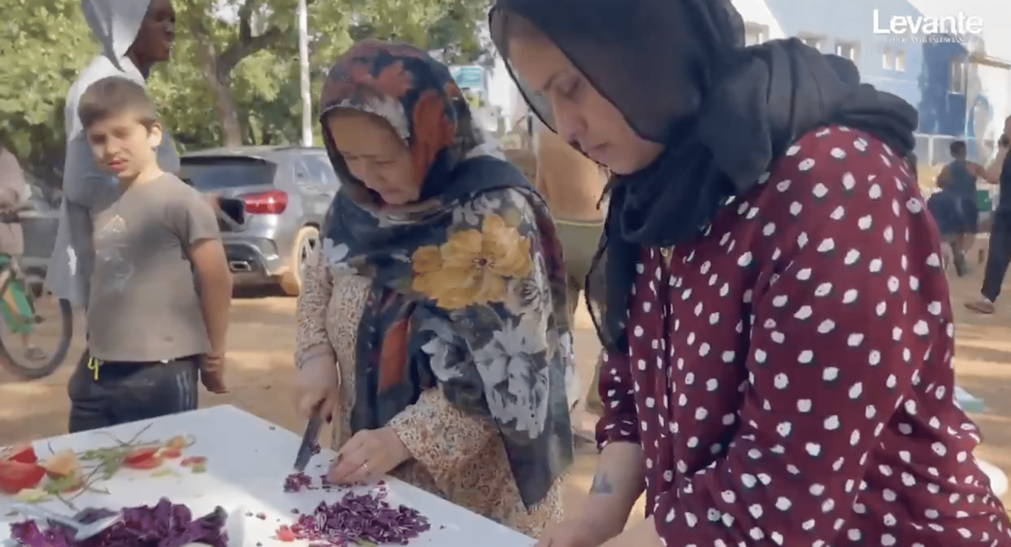 Watch: Immigrants Cook Hot Meals For The Victims Of Valencia's Flood ...