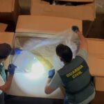 'Sophisticated' fake cigarette factory with €4m monthly turnover is raided by police in Spain's Malaga