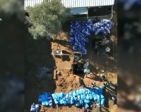 WATCH: Spain's biggest-ever narco-boat drugs seizure with seven tonnes of cocaine hidden in underground farm cellars