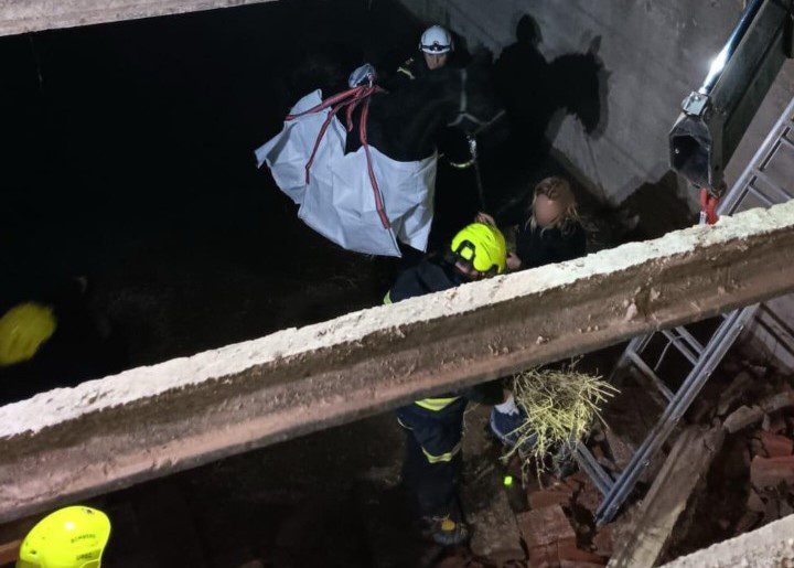 Dramatic rescue of horse who fell three metres down into underground storage bunker in Spain