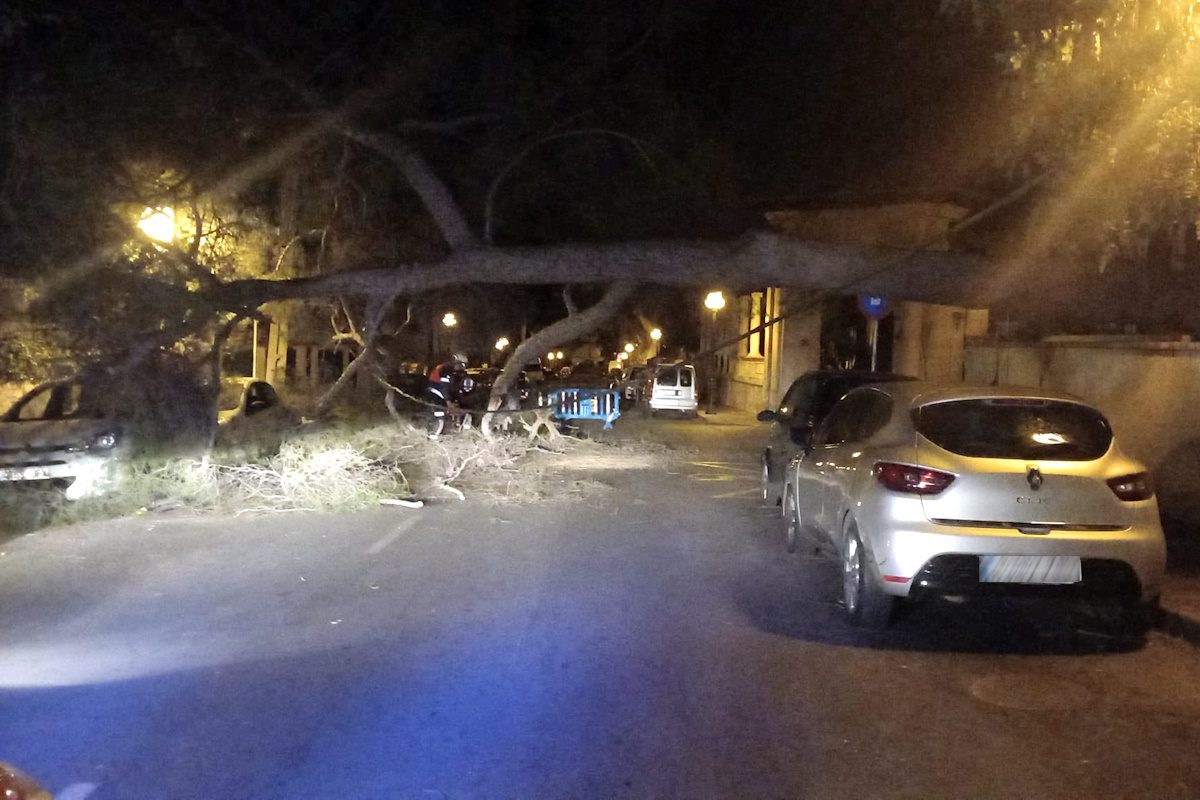 Hurricane winds of up to 140km/hr batter Mallorca: Palm trees are toppled while hundreds of incidents are reported