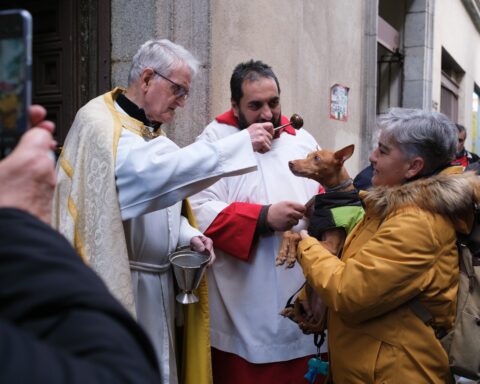 Pets get special blessings from priests in Spain to celebrate patron saint of animals – San Anton