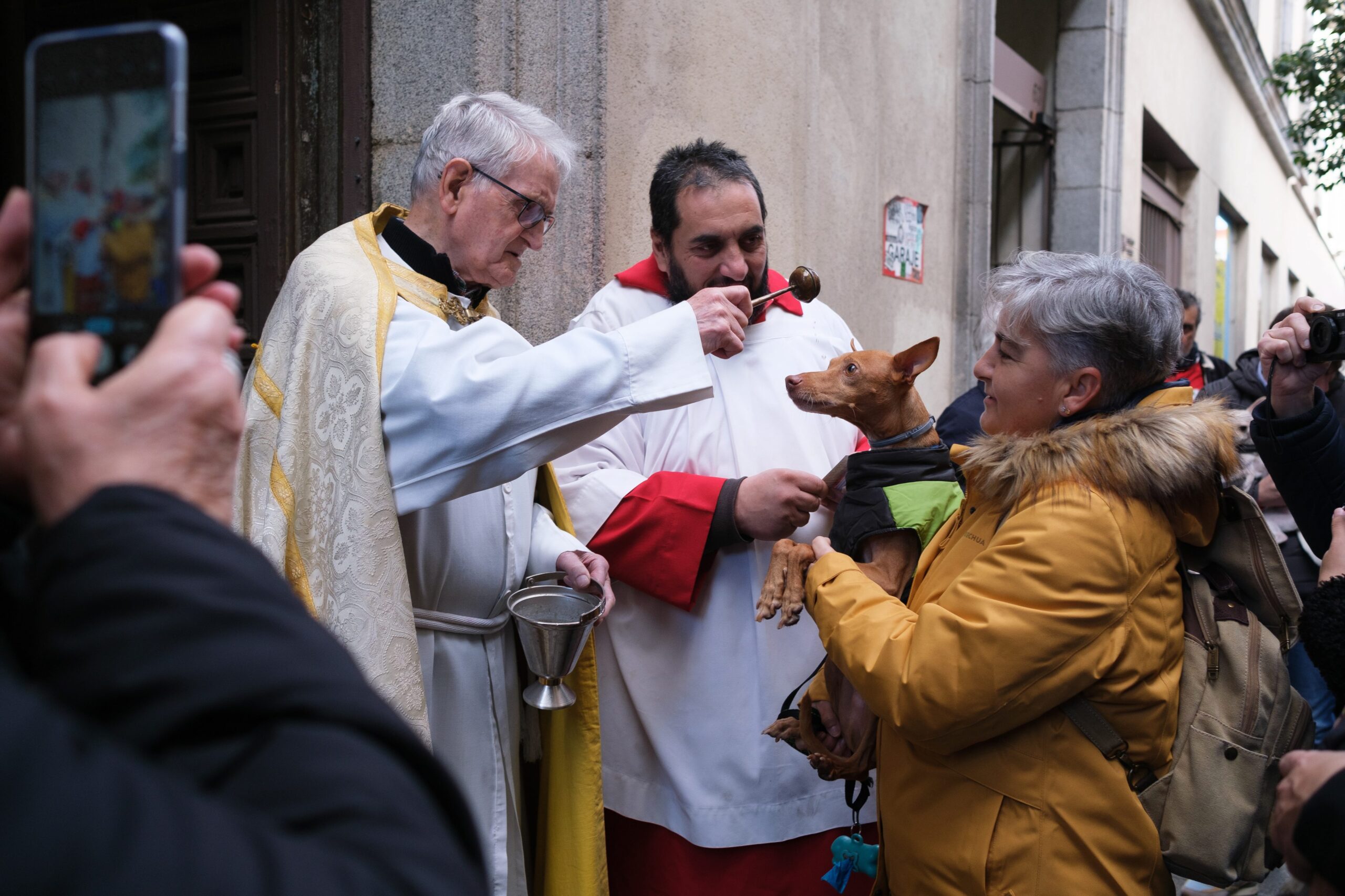 Pets get special blessings from priests in Spain to celebrate patron saint of animals – San Anton