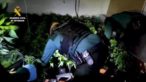 Marijuana growers used 31 homes for illegal farms that stole electricity- causing blackouts in Valencia coastal city